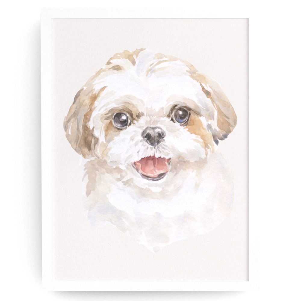 Watercolor Shih Tzu Dog Wall Art Illustration Print Poster Card Unframed - Picture 2 of 7